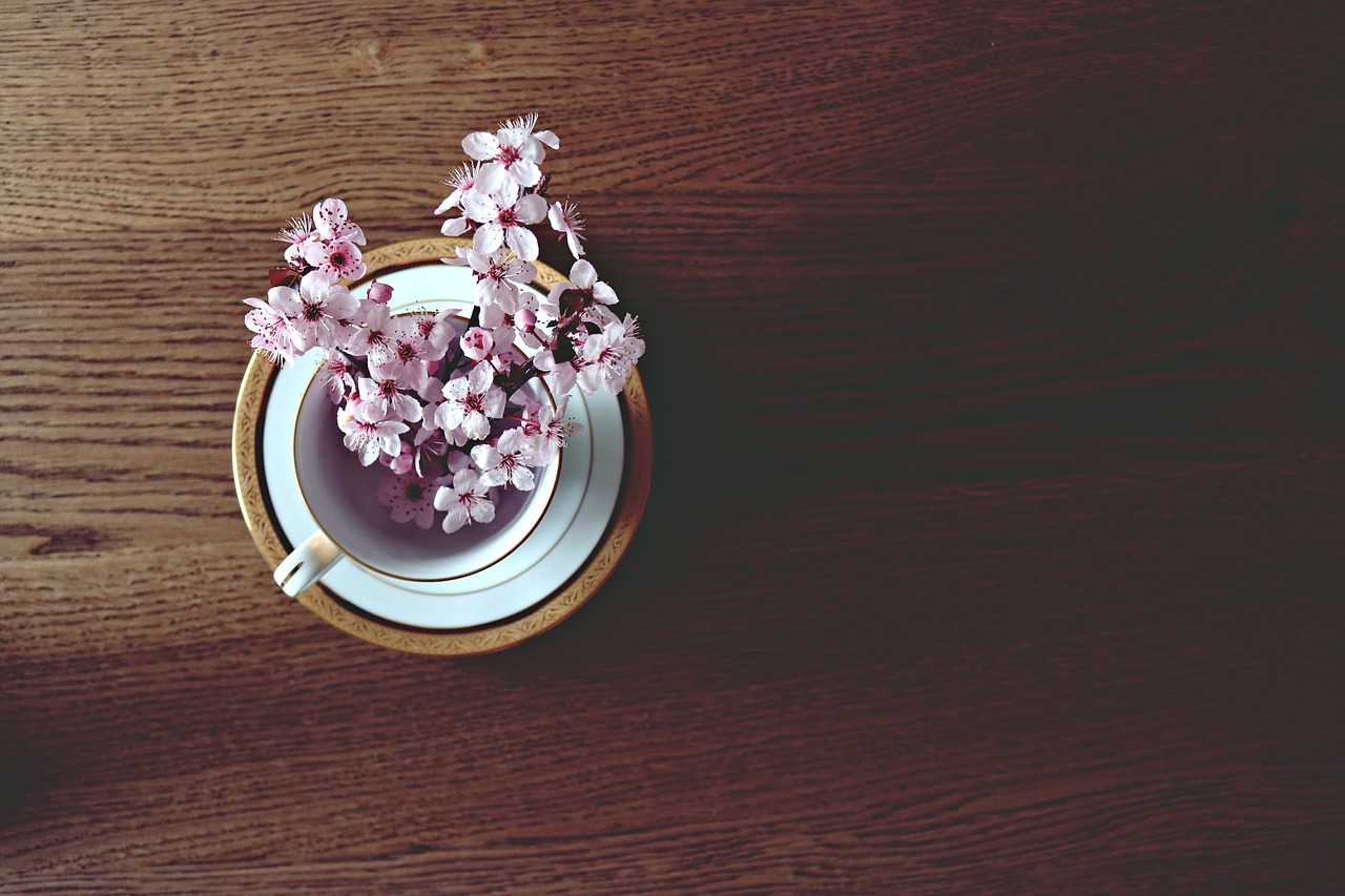 Image - spring cherry bloom blossom nature