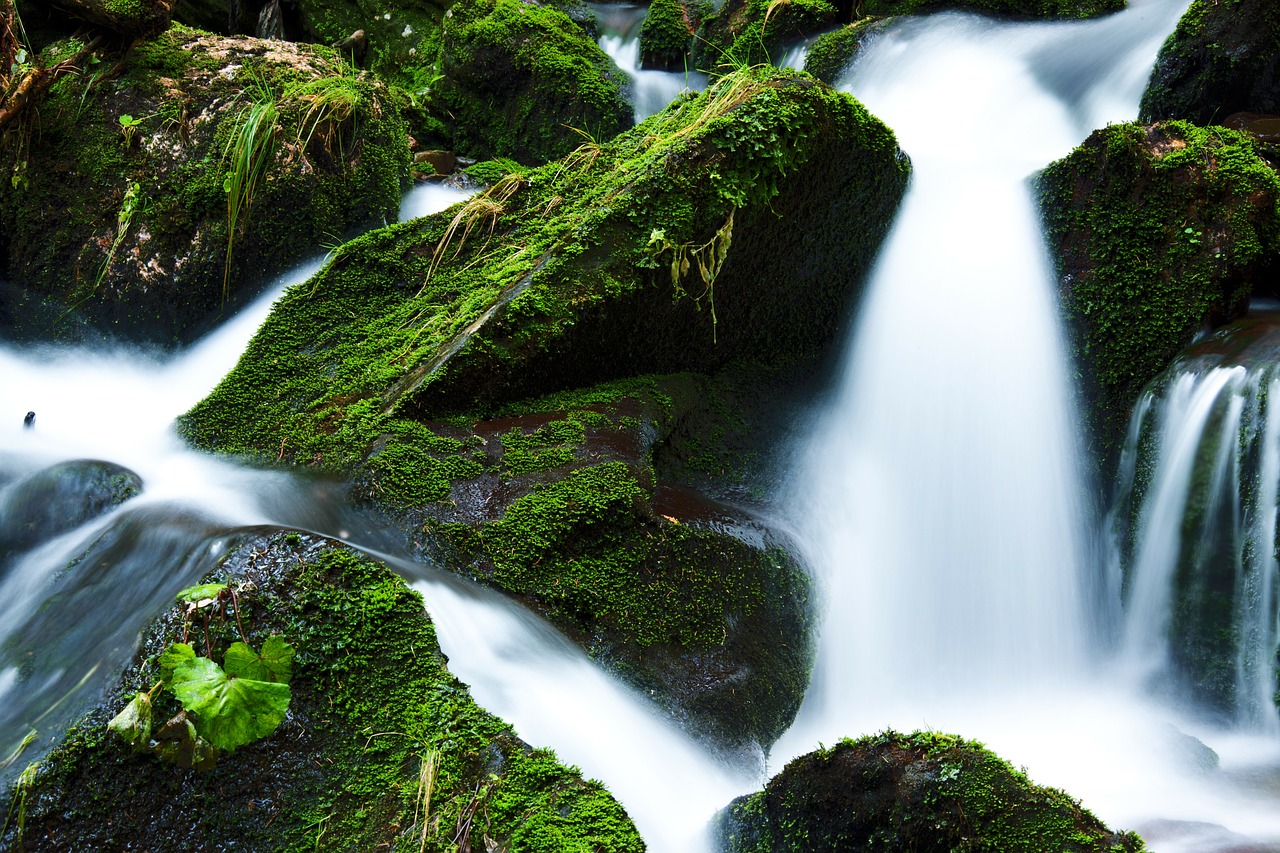 Image - creek falls flow flowing forest