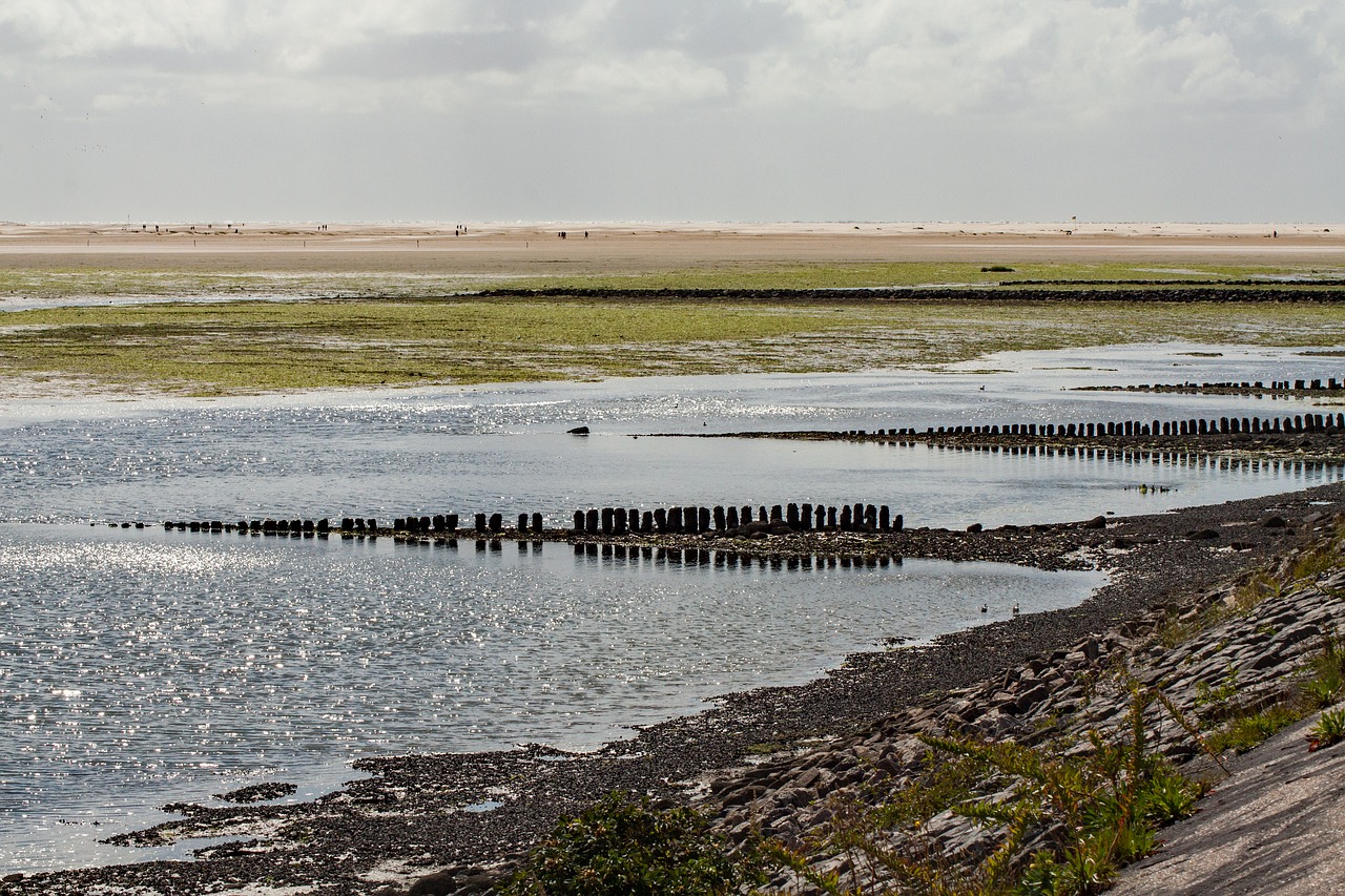 Image - amrum island north sea beach