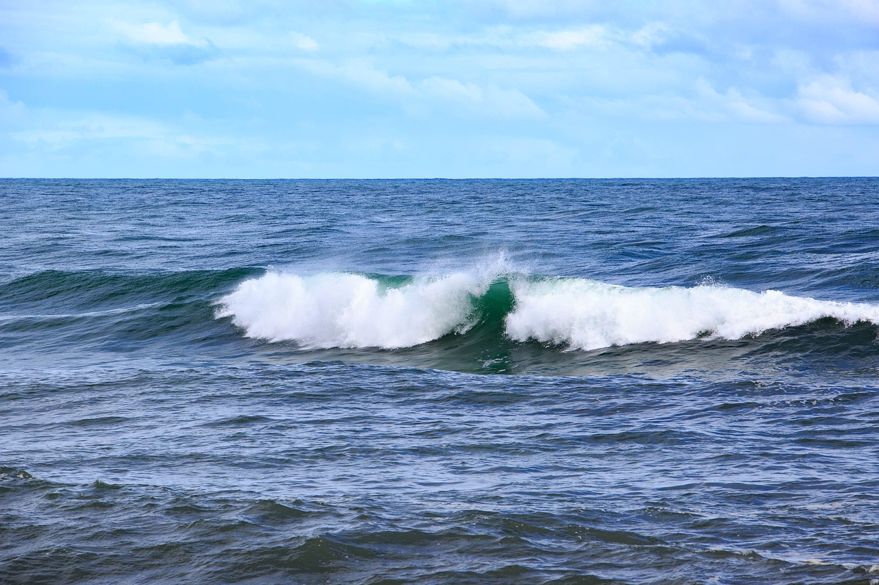 Image - waves sea tasman sunny days ocean