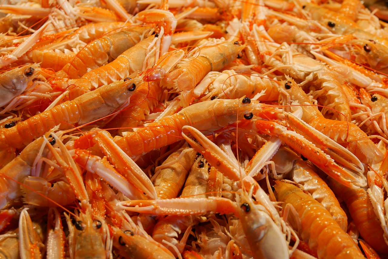 Image - food eat seafood shrimp