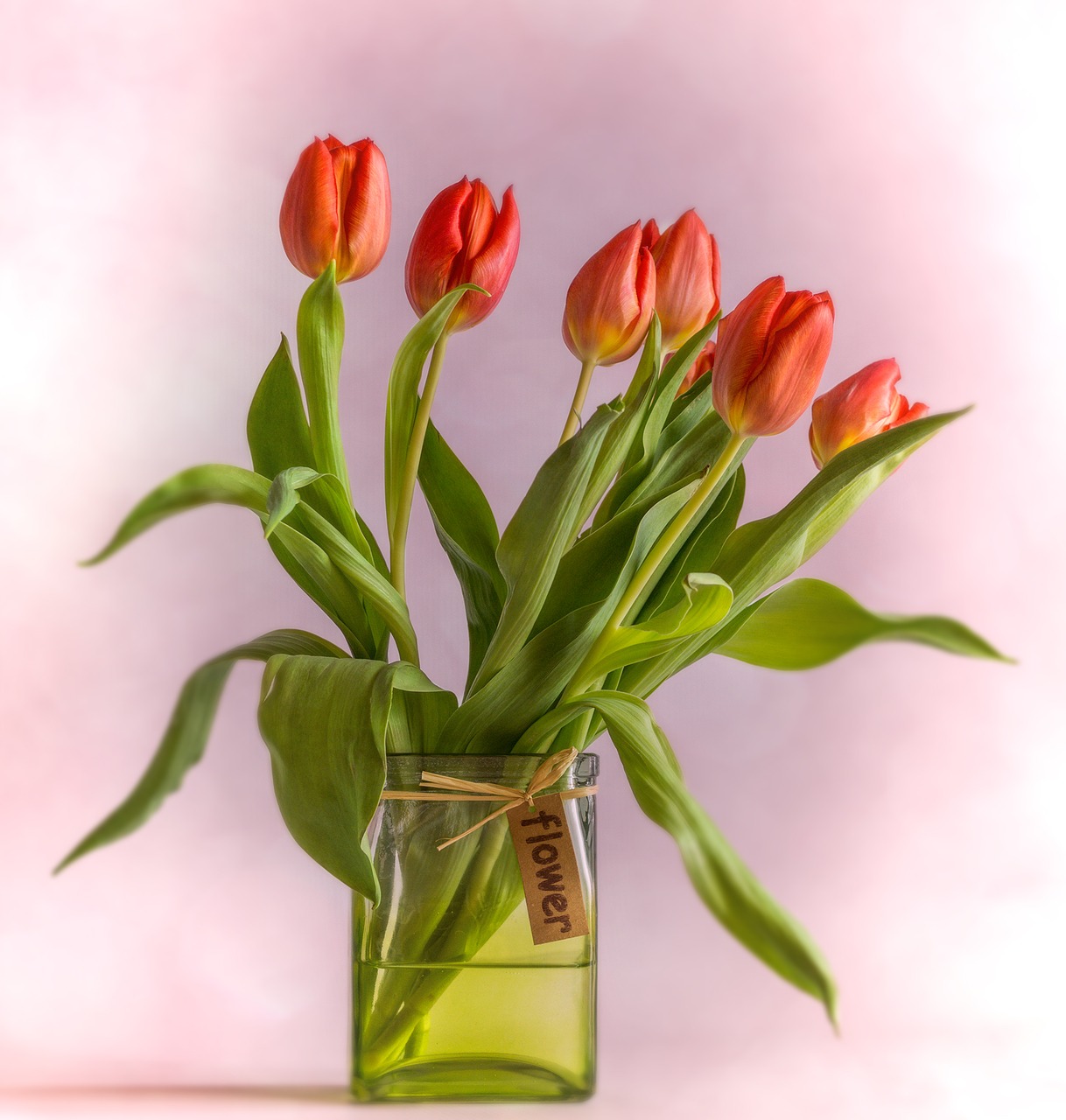 Image - tulips vase red bouquet flowers