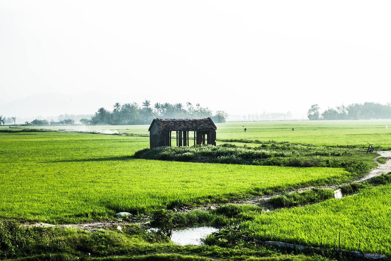 Image - country road house rice river