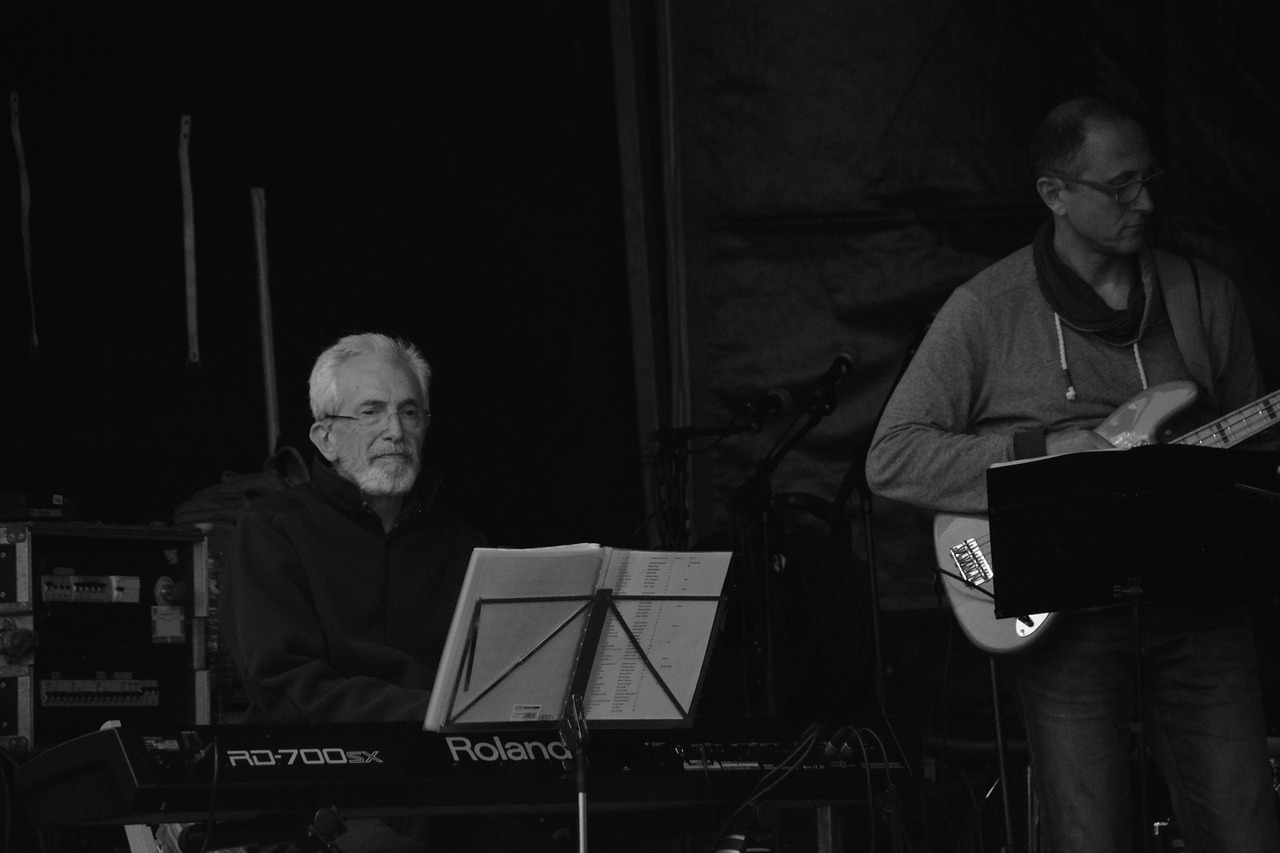 Image - adult concert conductor elderly