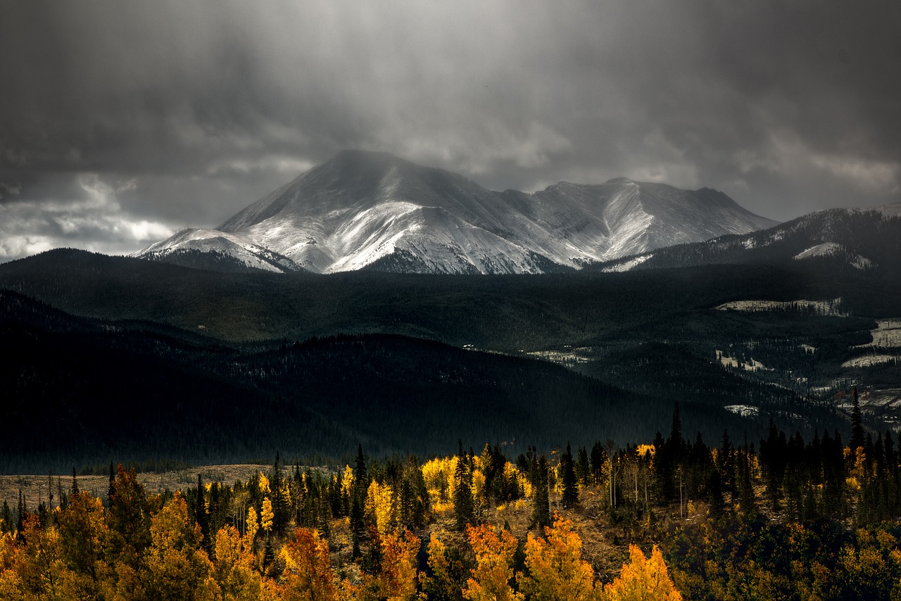 Image - dawn daylight evening fall fog