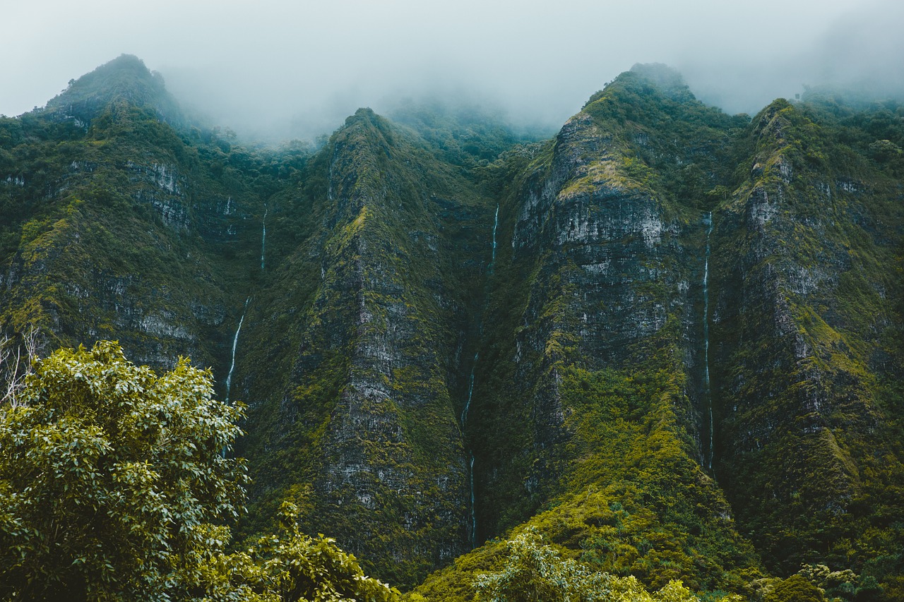 Image - daylight environment fall fog