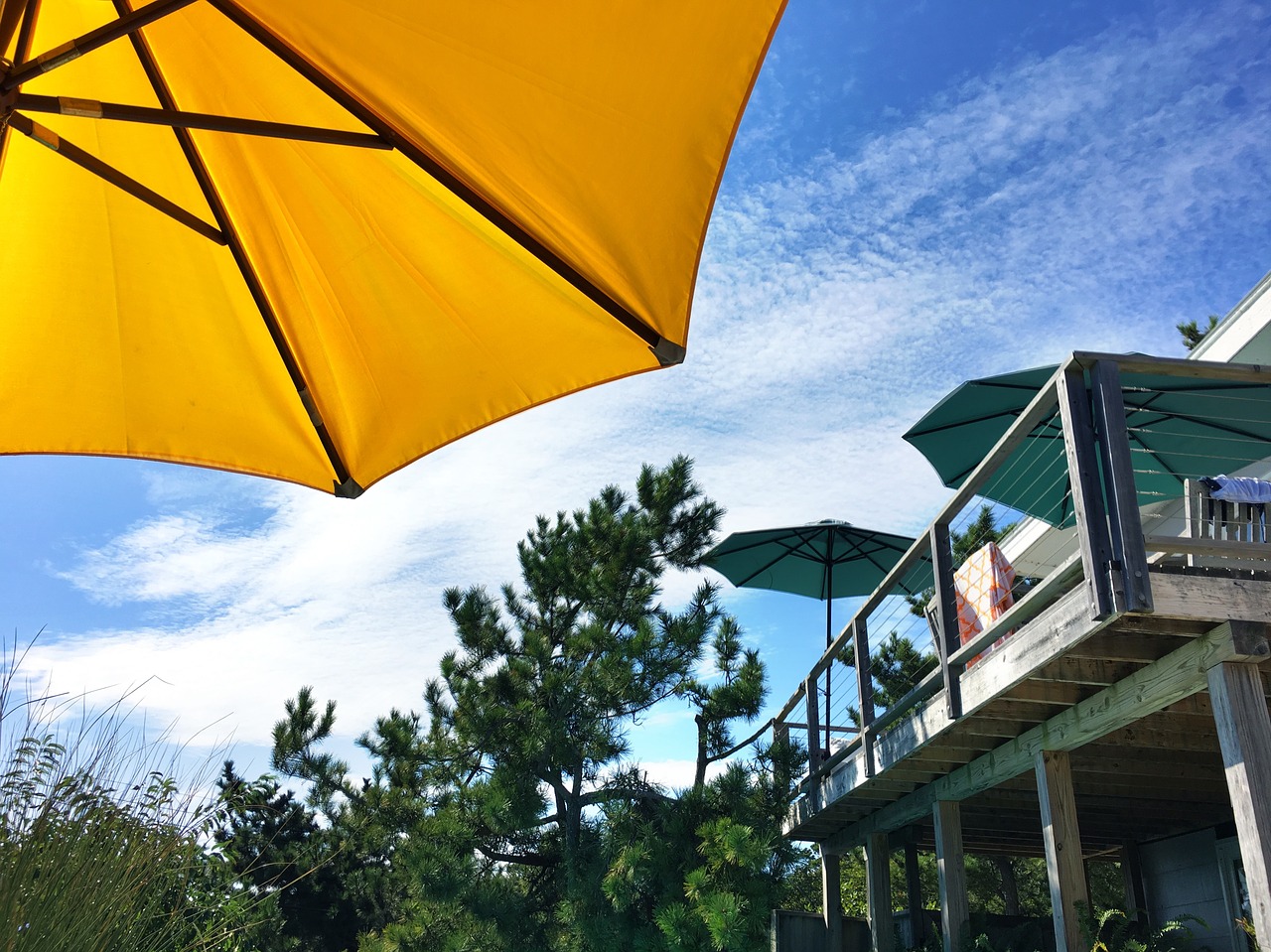 Image - fire island pines sunbathing