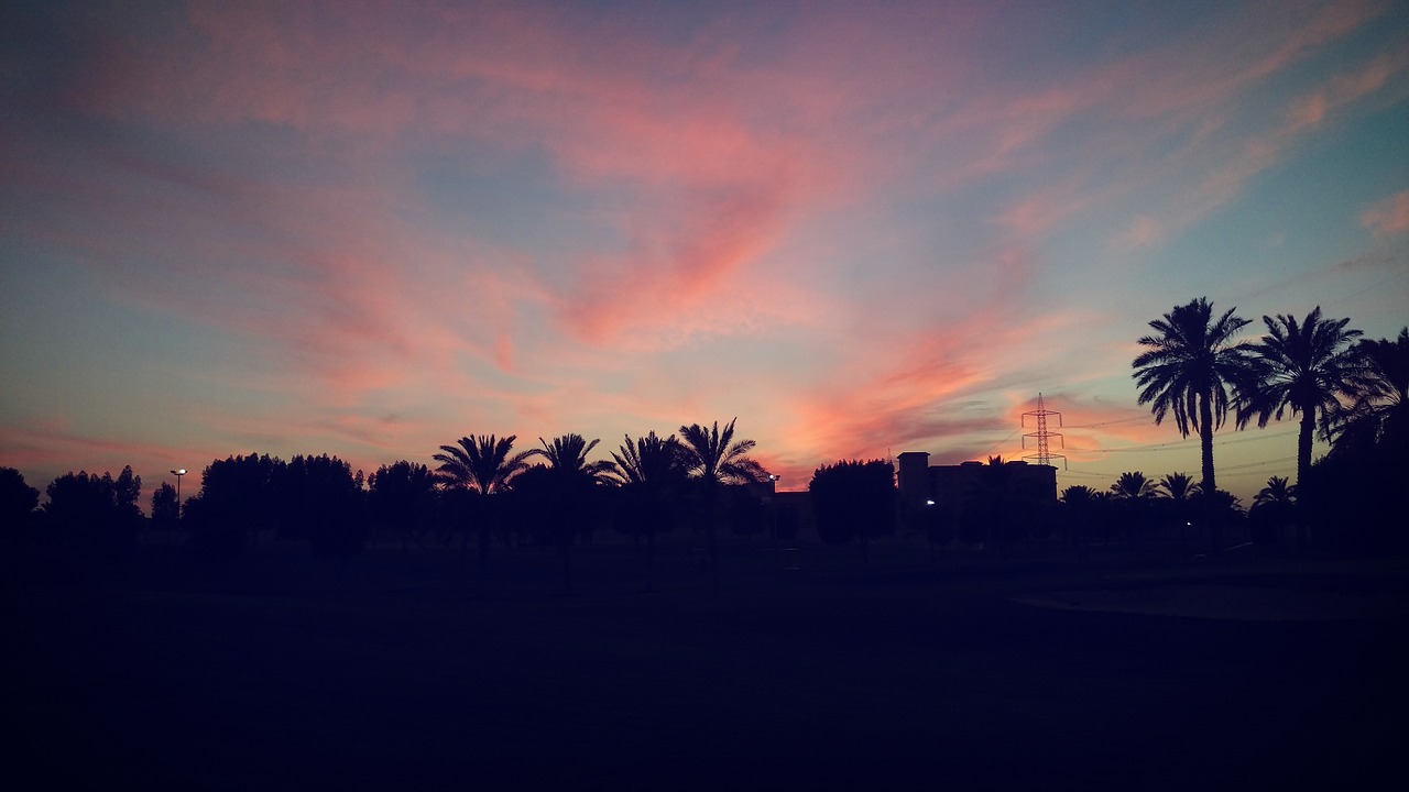 Image - clouds palm trees picturesque pink