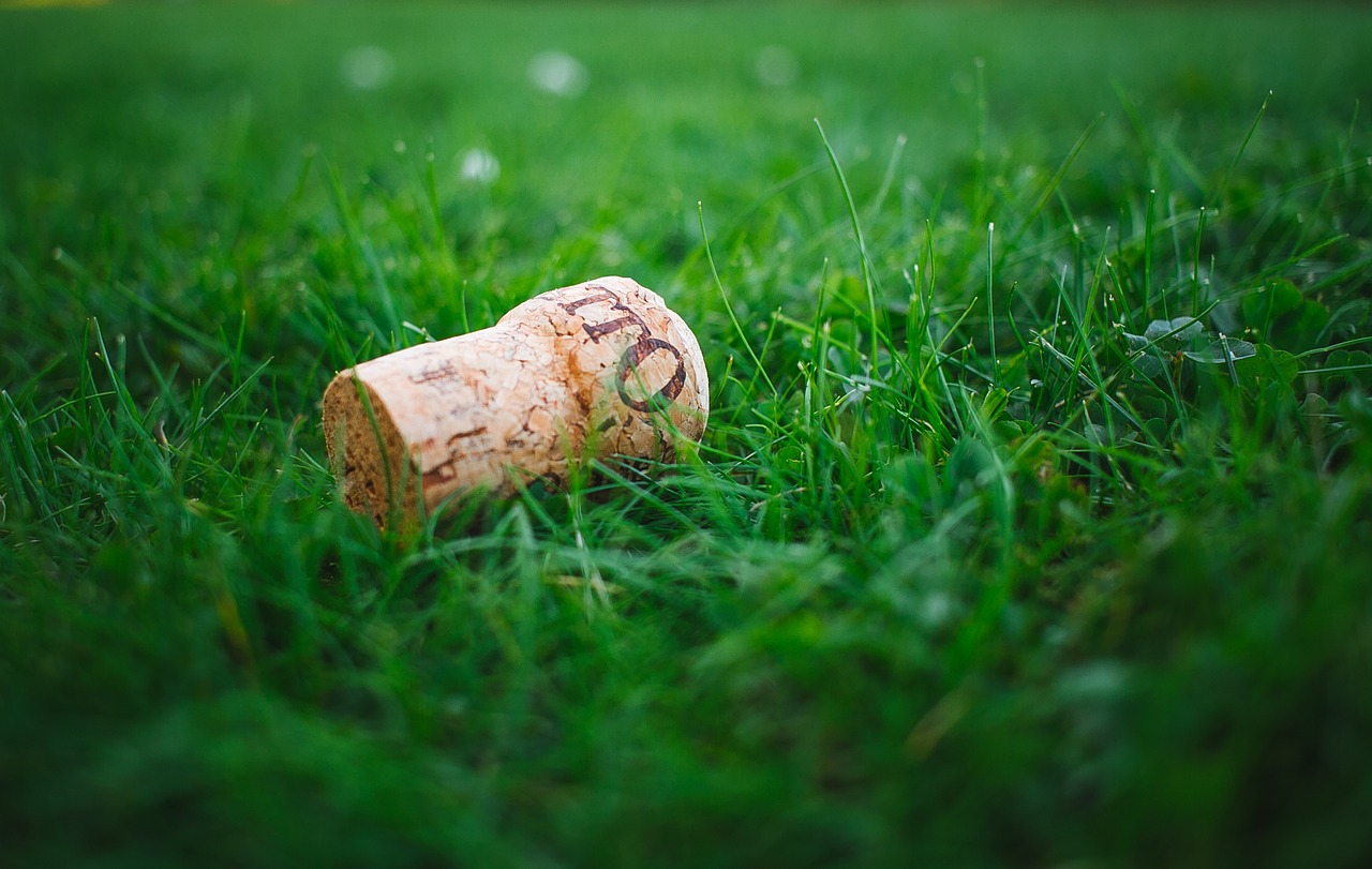 Image - blur close up cork field focus