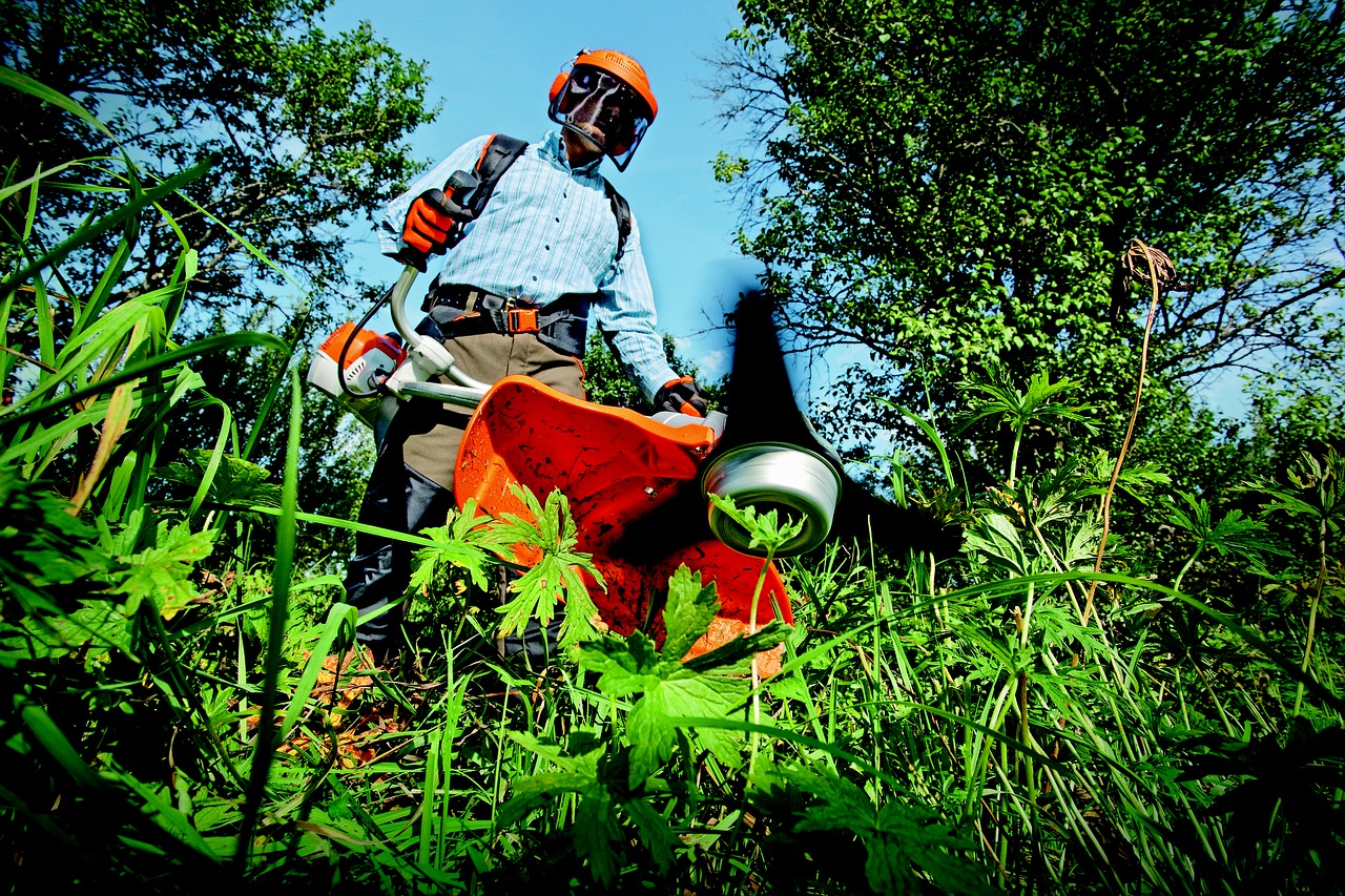 Image - garden gardening grass grass cutter