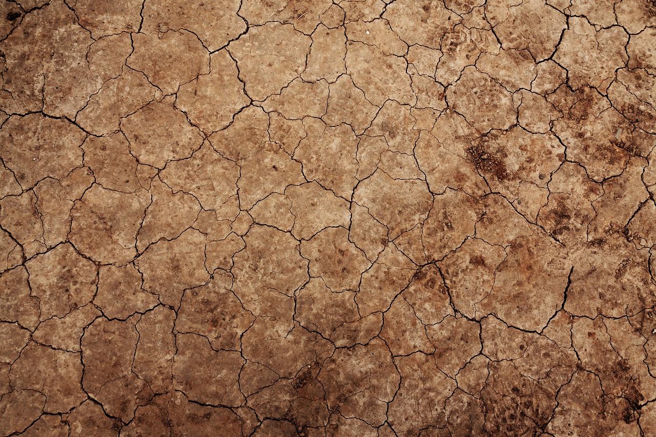 Image - arid background climate desert