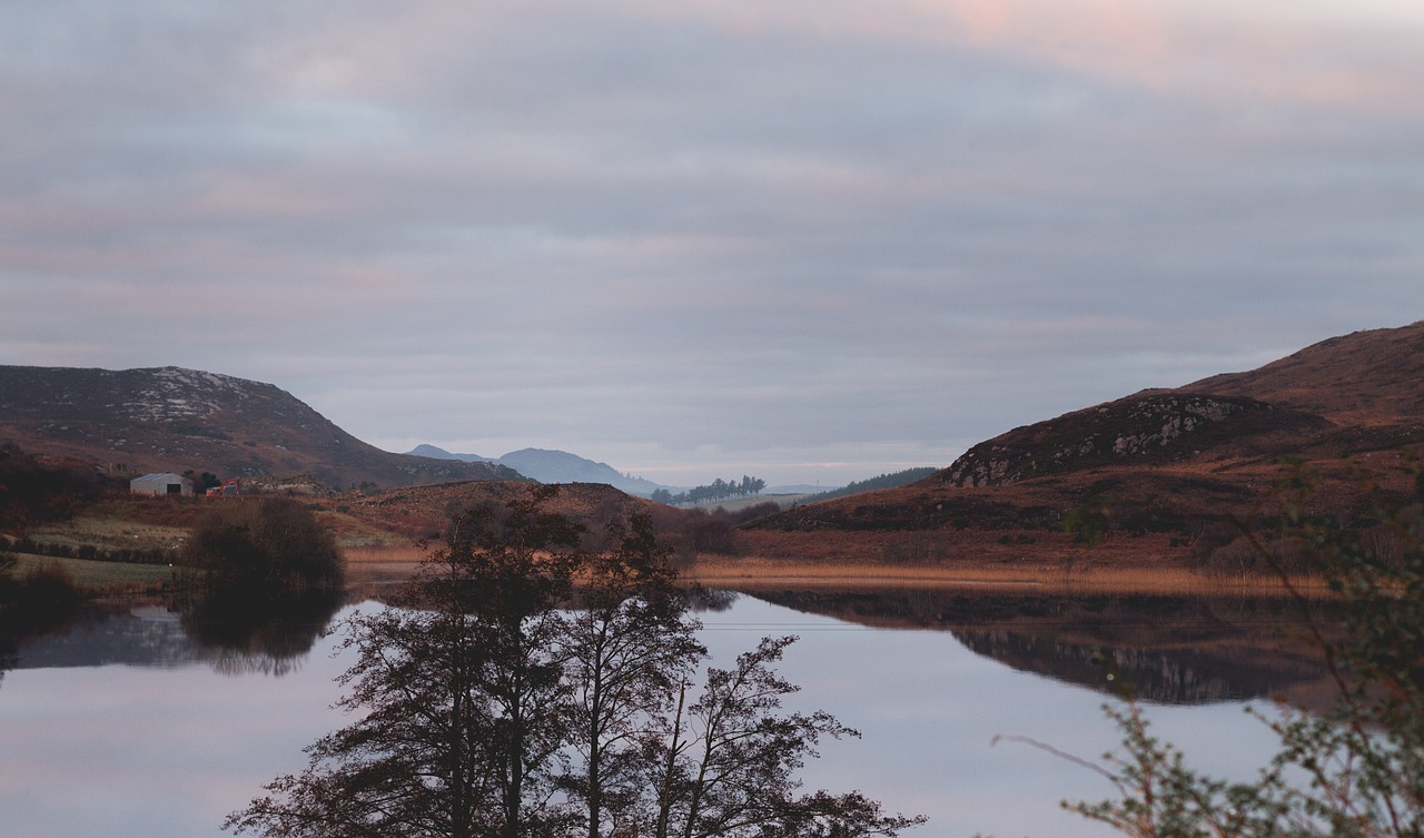 Image - calm forest ireland isolated lake