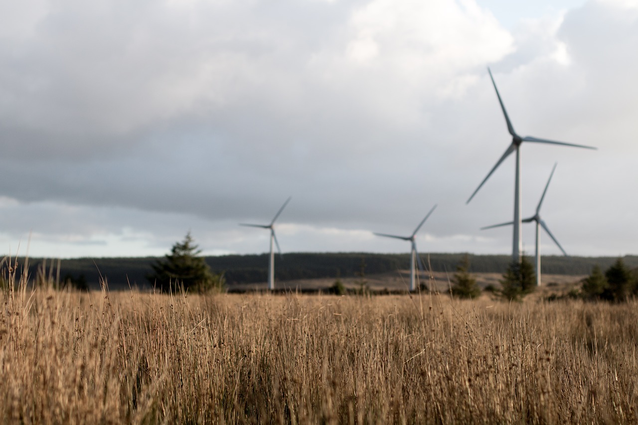 Image - energy long grass turbines wind