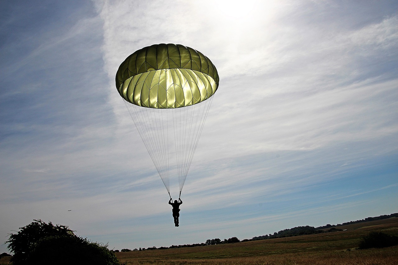 Image - parachutist parachute skydiving fly