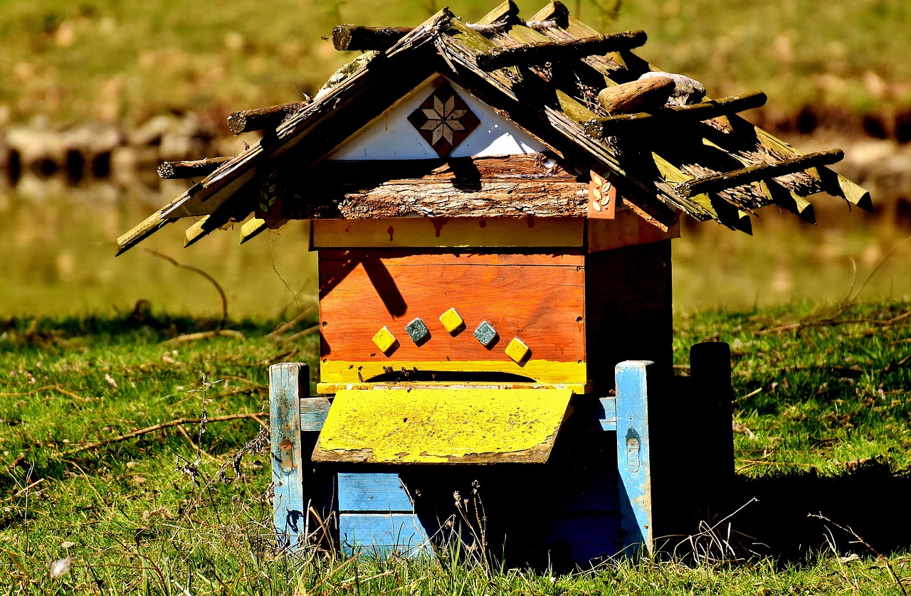 Image - beehive bees wood colorful