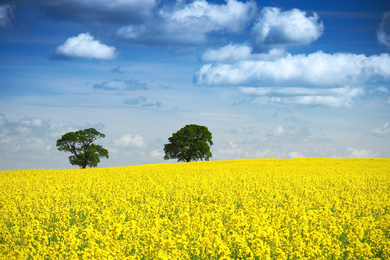 Image - background blue clear cloud