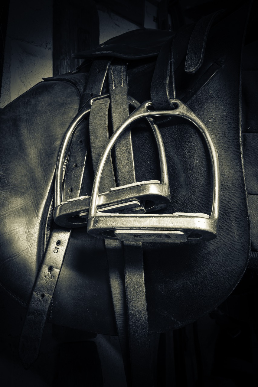 Image - stirrups saddle equestrian horse