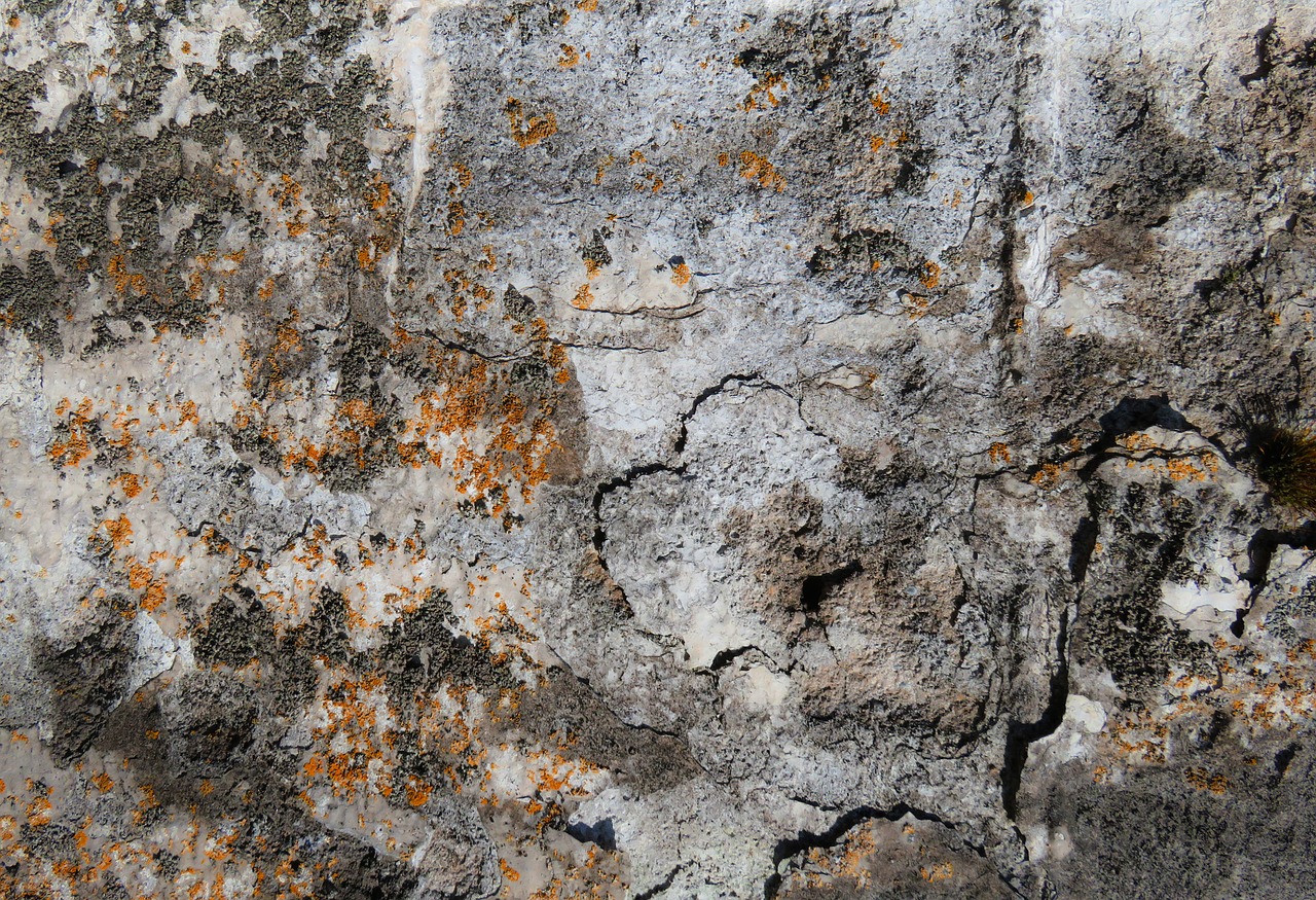 Image - texture background wall plaster