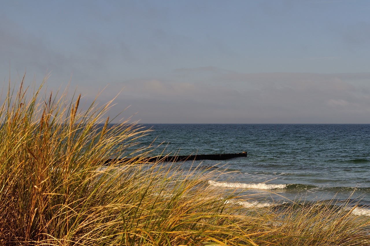 Image - baltic sea beach grass sky sea