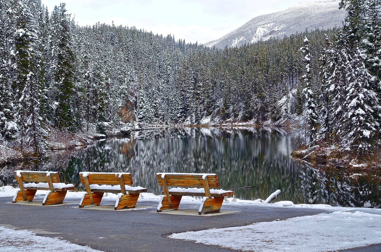 Image - seats snow cold outdoor bench