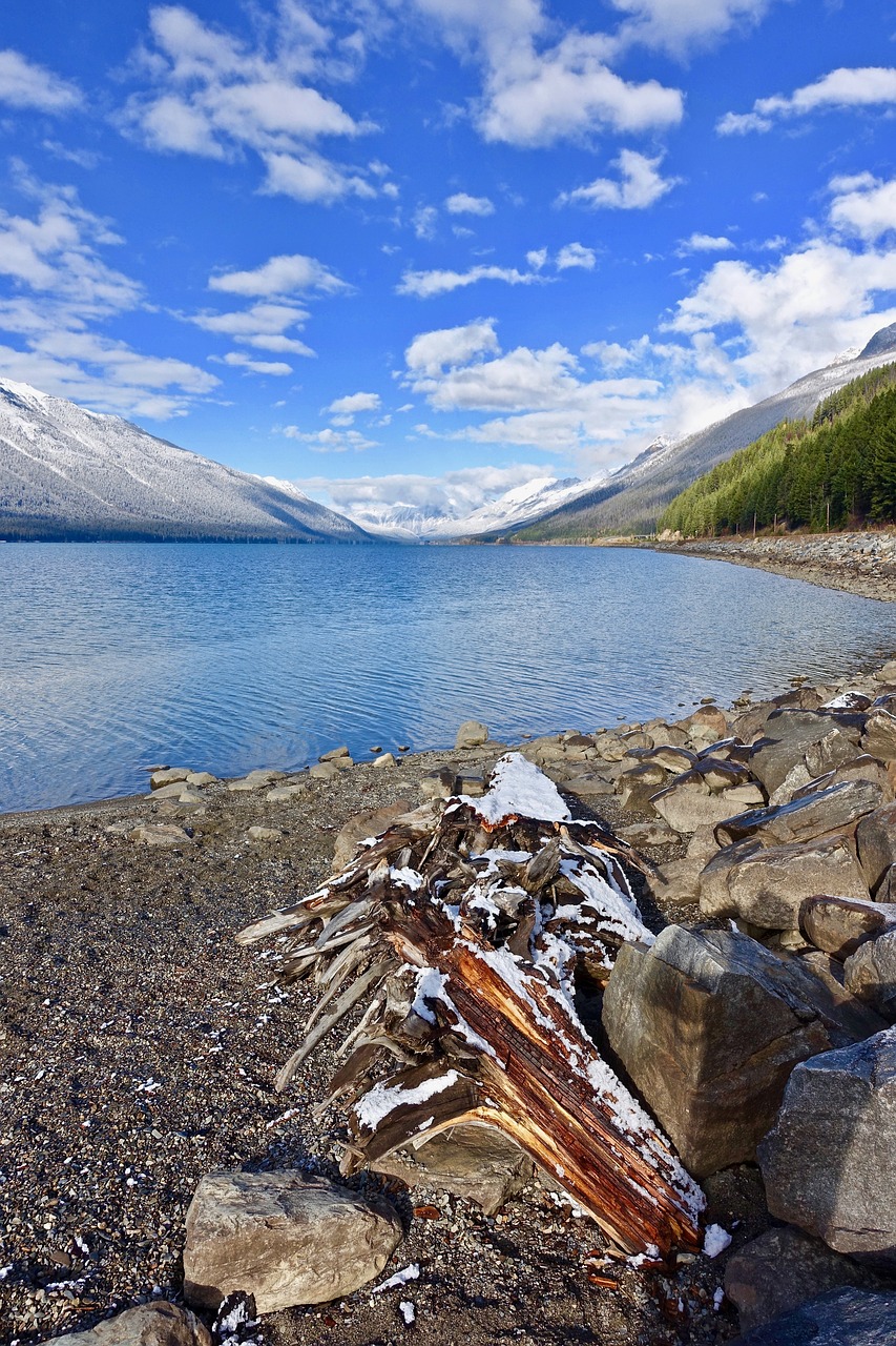 Image - mountains lake wood scenic