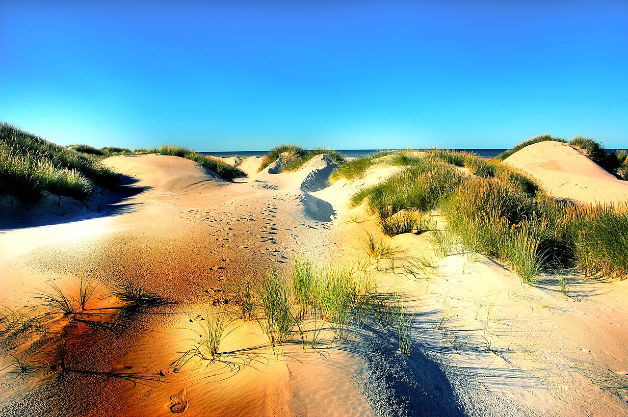 Image - dunes beach denmark sand north sea