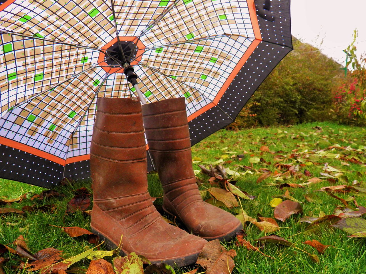 Image - autumn umbrella in the park