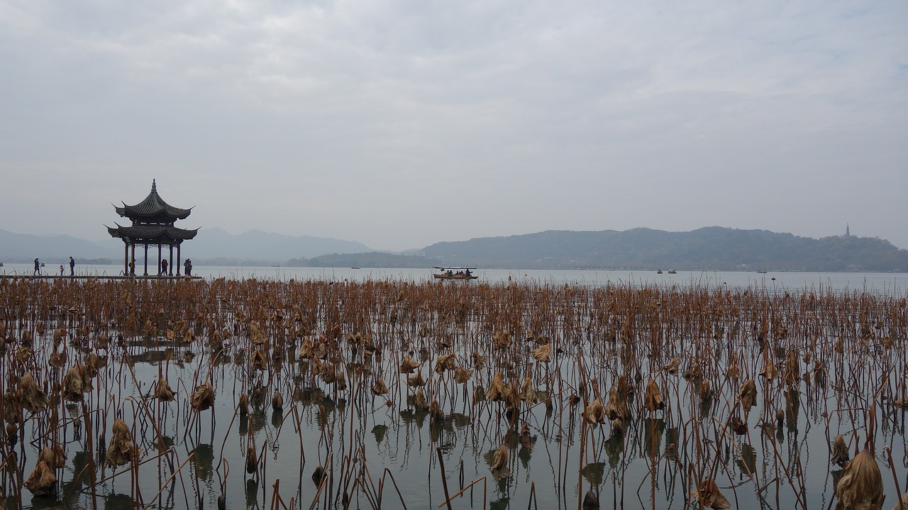 Image - west lake lake lotus