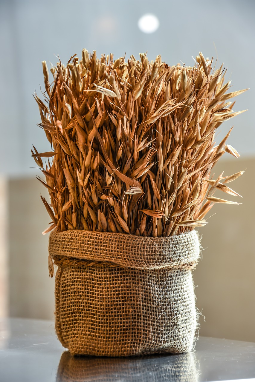 Image - wheat grain agriculture harvest