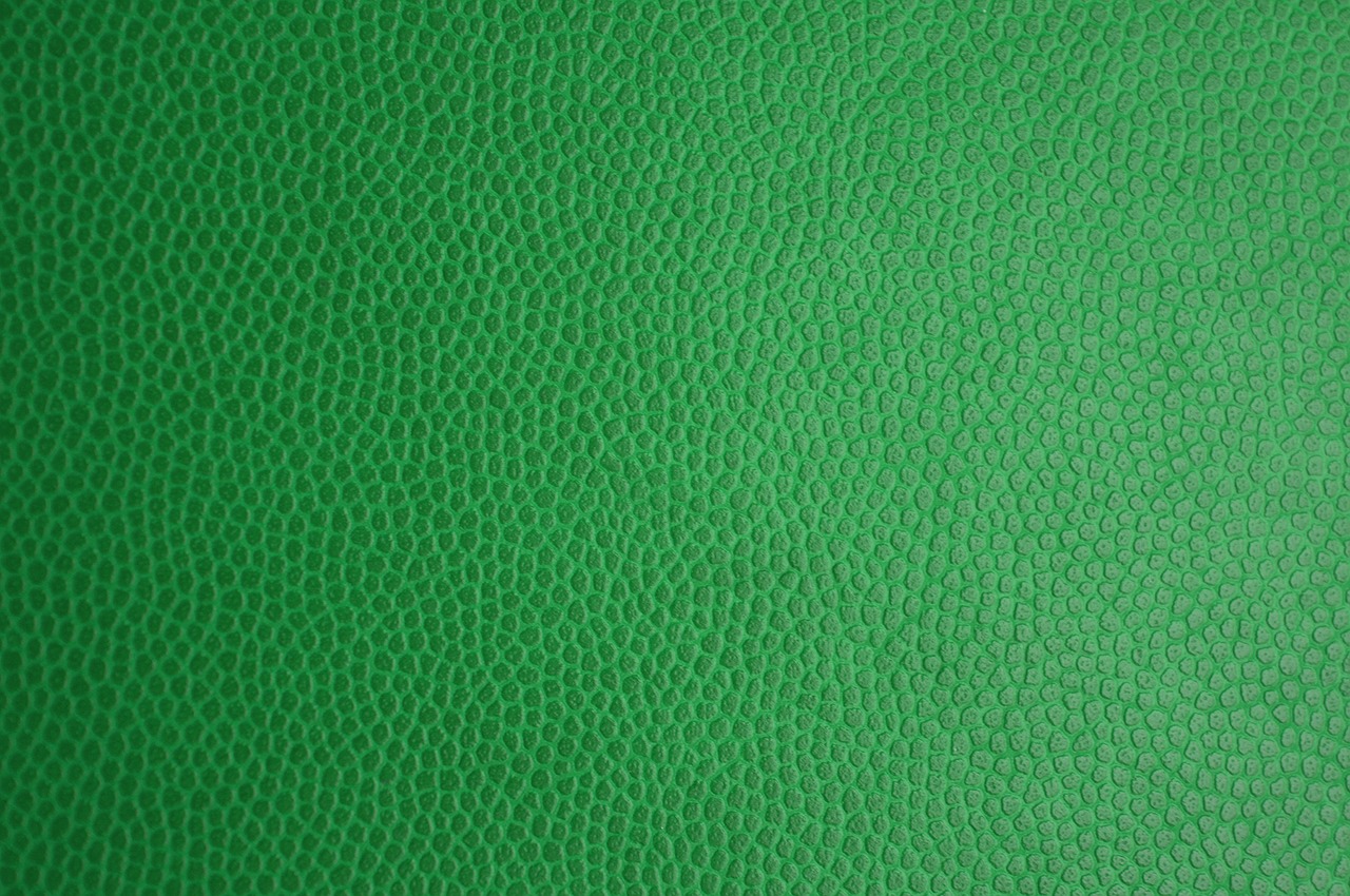 Image - green skin leather texture leather