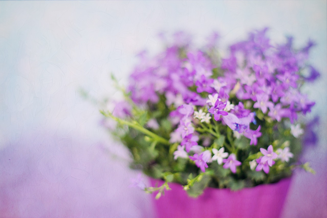 Image - purple flowers spring bouquet