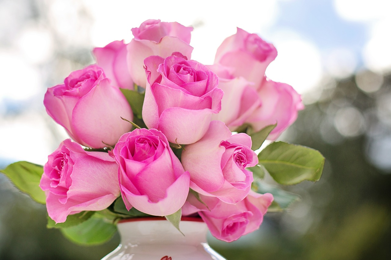 Image - pink roses roses flowers romance