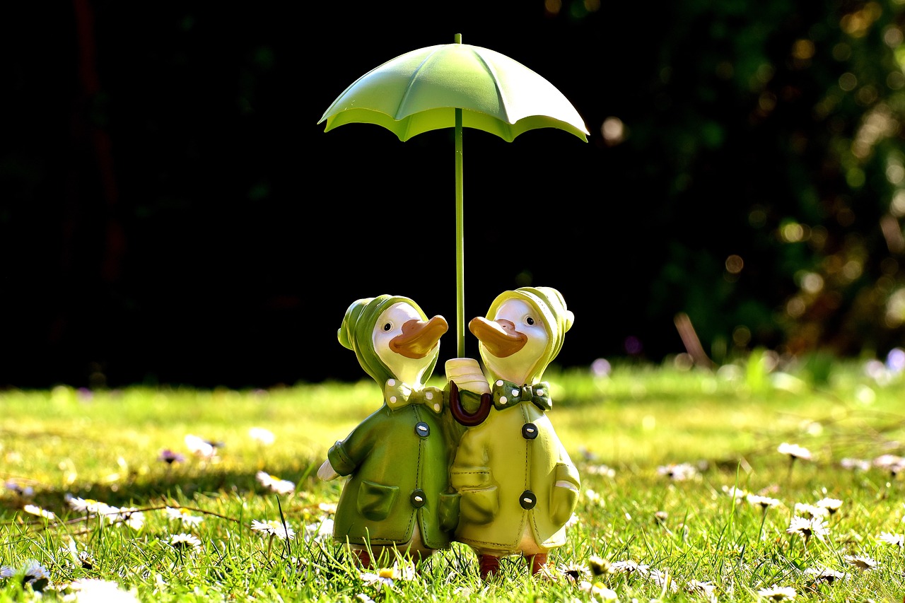 Image - ducks figures parasol funny cute