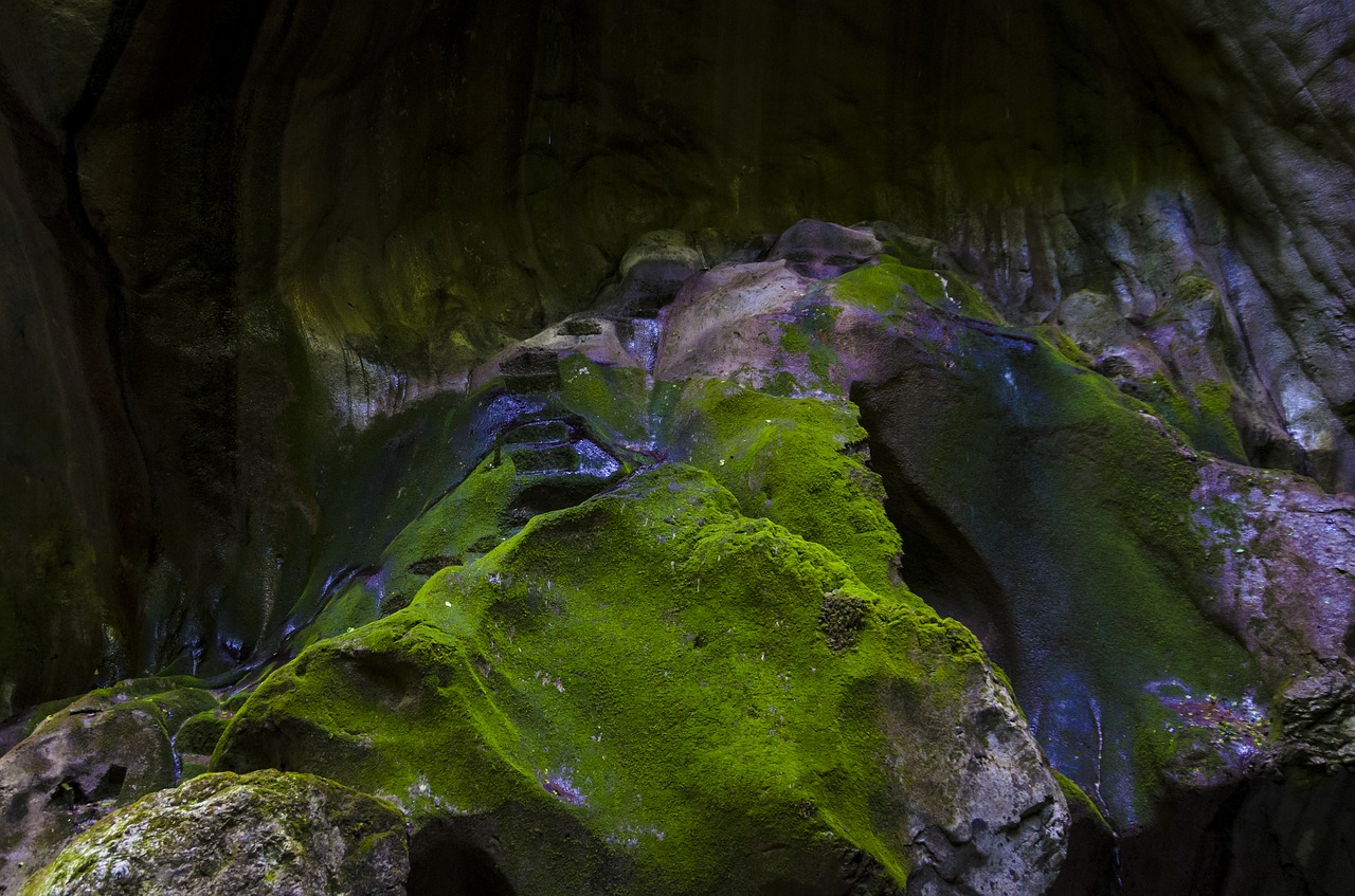 Image - roche lichen landscape