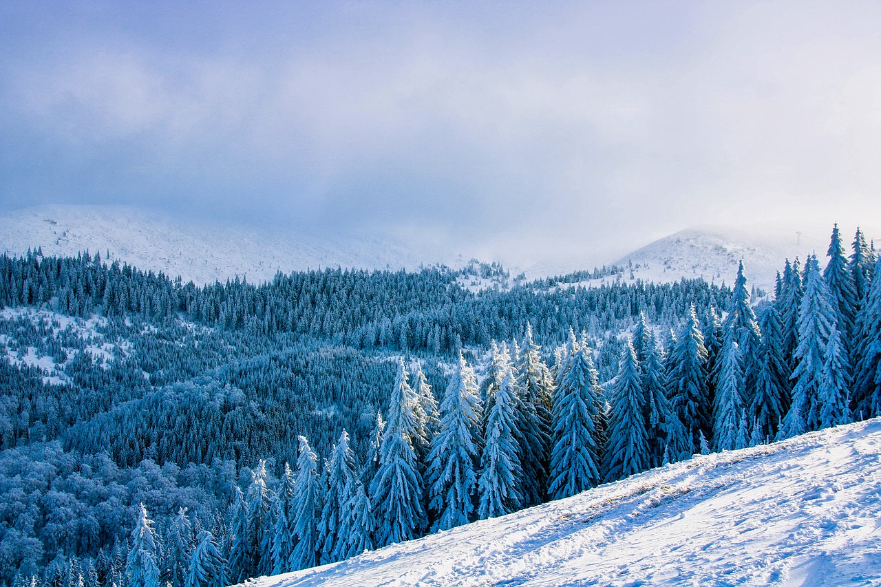 Image - romania landscape scenic mountains