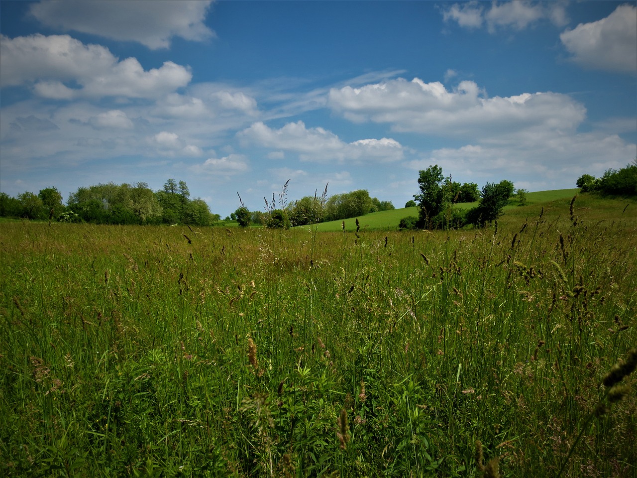 Image - landscape nature my green valley