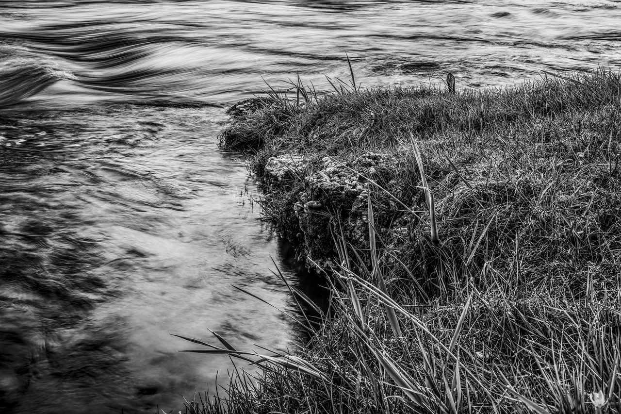 Image - dramatic water grass grasses bank