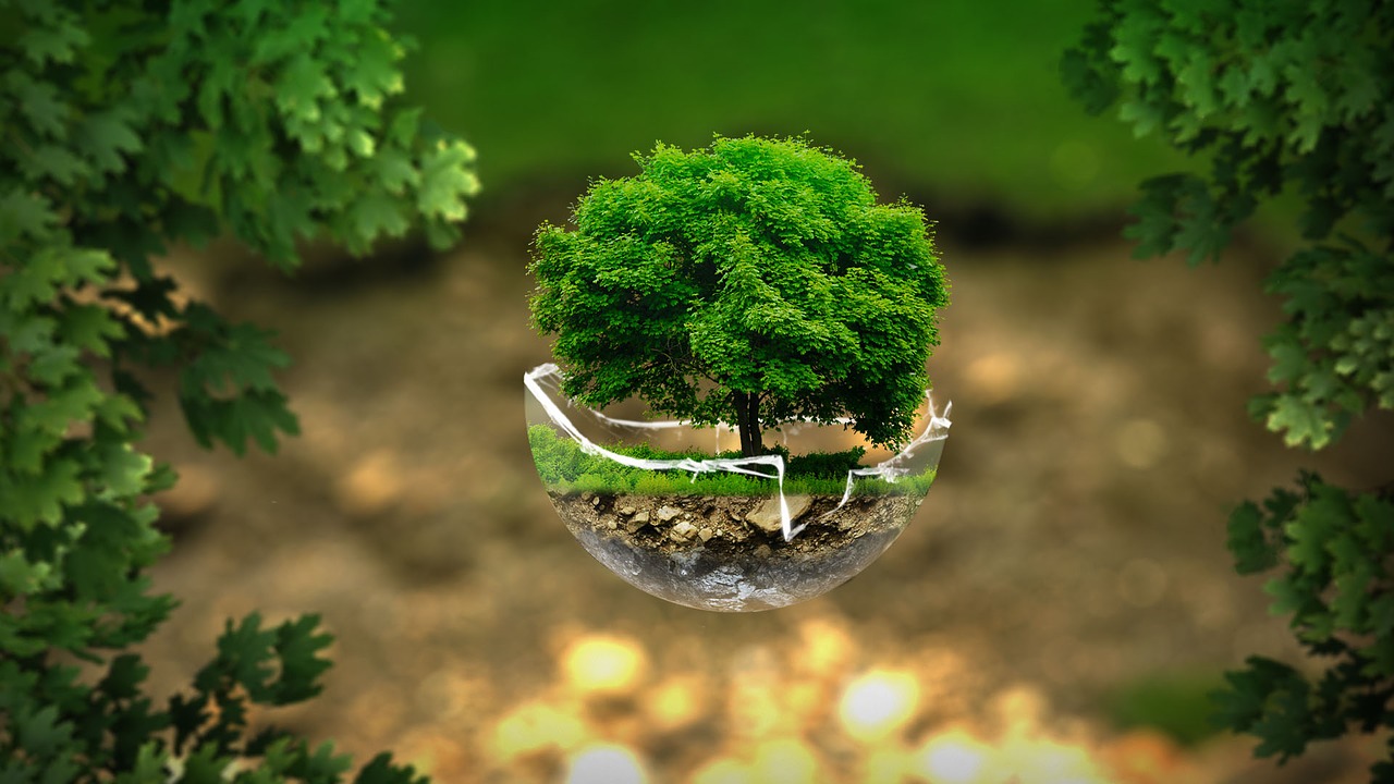 Image - environment ecology nature