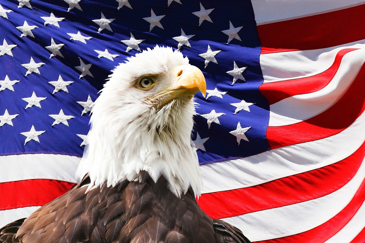 Image - eagle america flag bird symbol