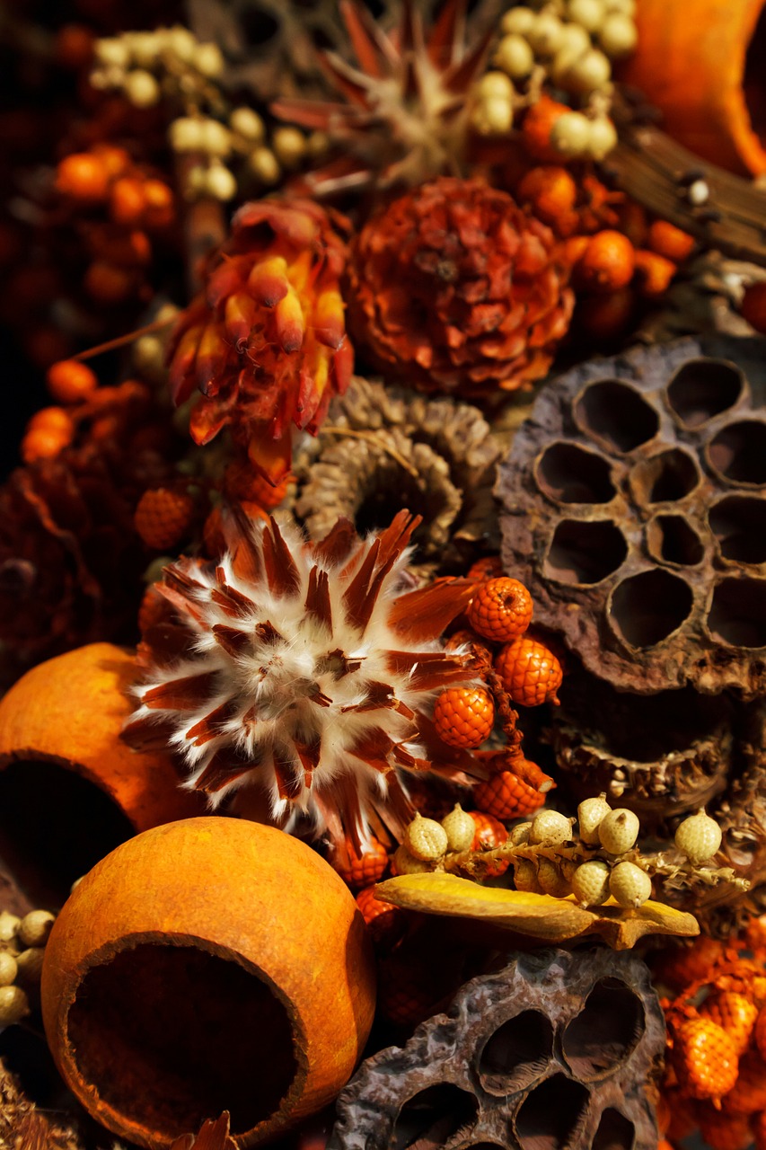 Image - aroma aromatherapy autumn