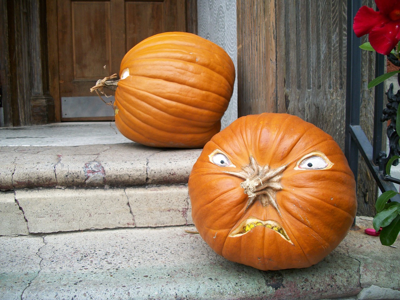 Image - pumpkin orange halloween october