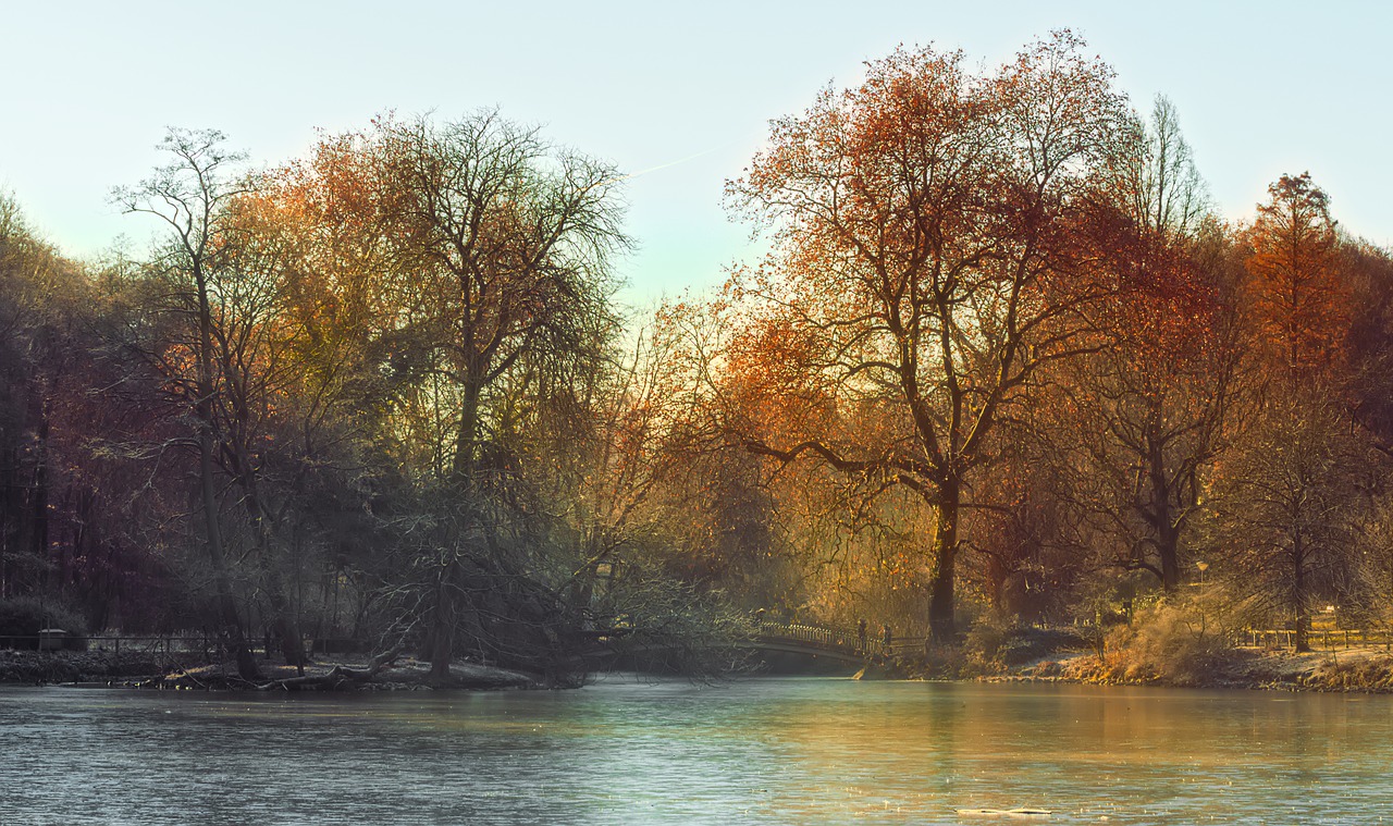 Image - morning light nature mood fog