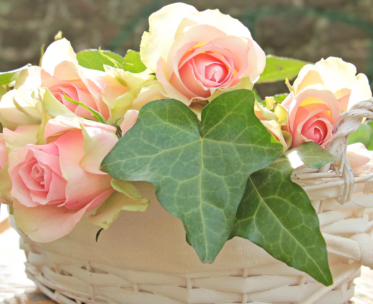 Image - roses noble roses basket flowers