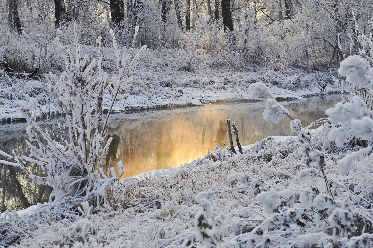 Image - snow trees winter water season