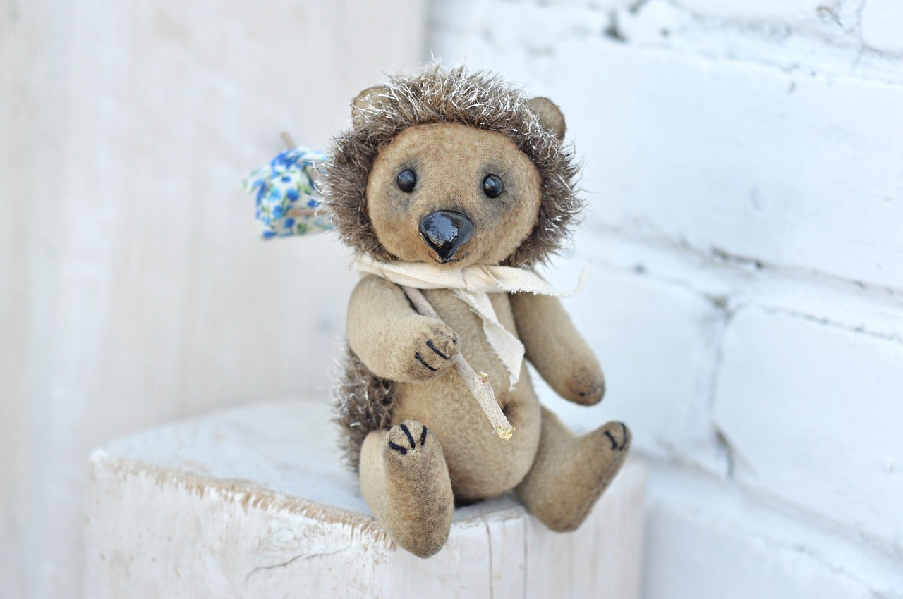 Image - soft toy hedgehog their hands