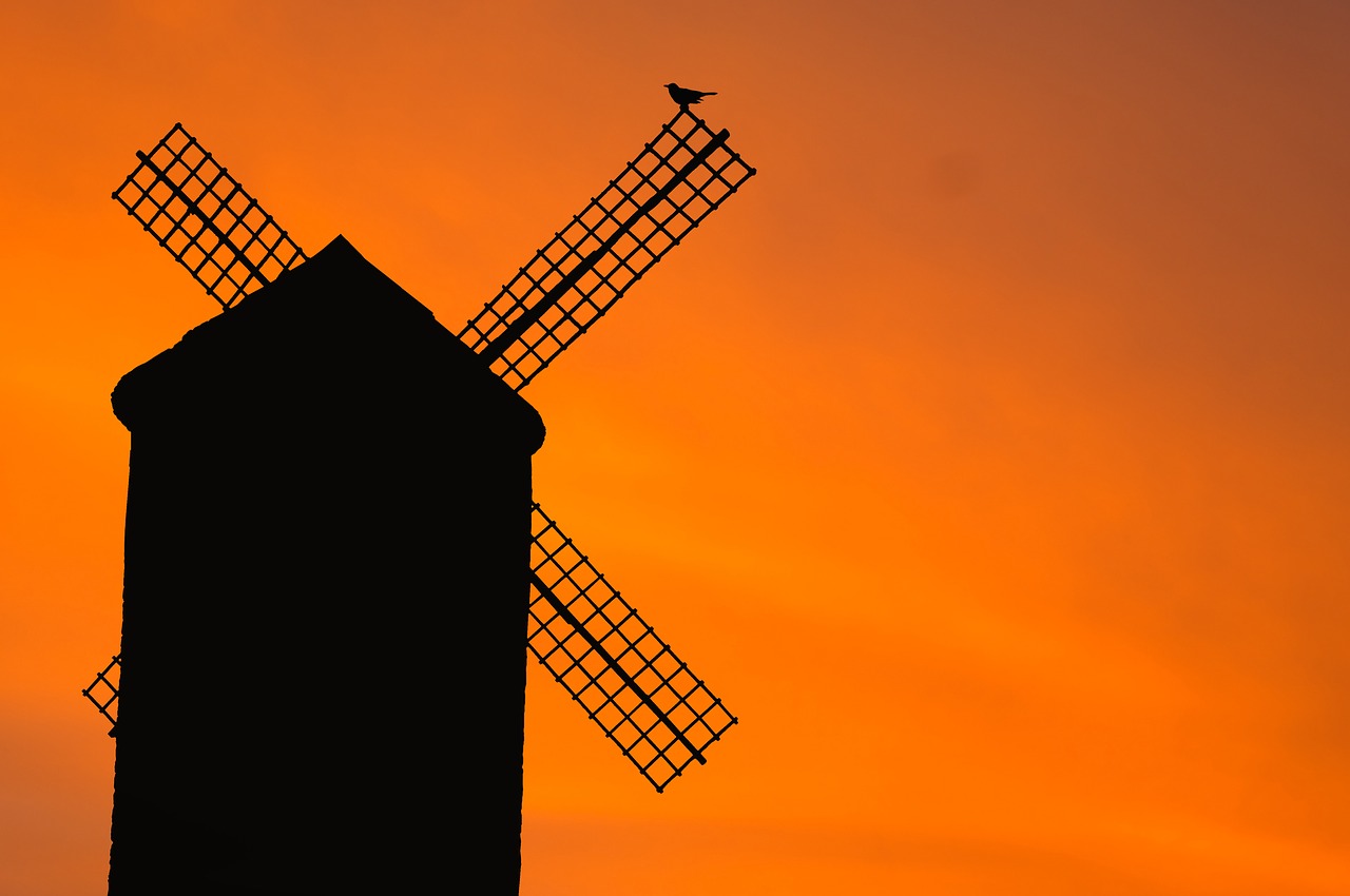 Image - windmill old bird silhouette