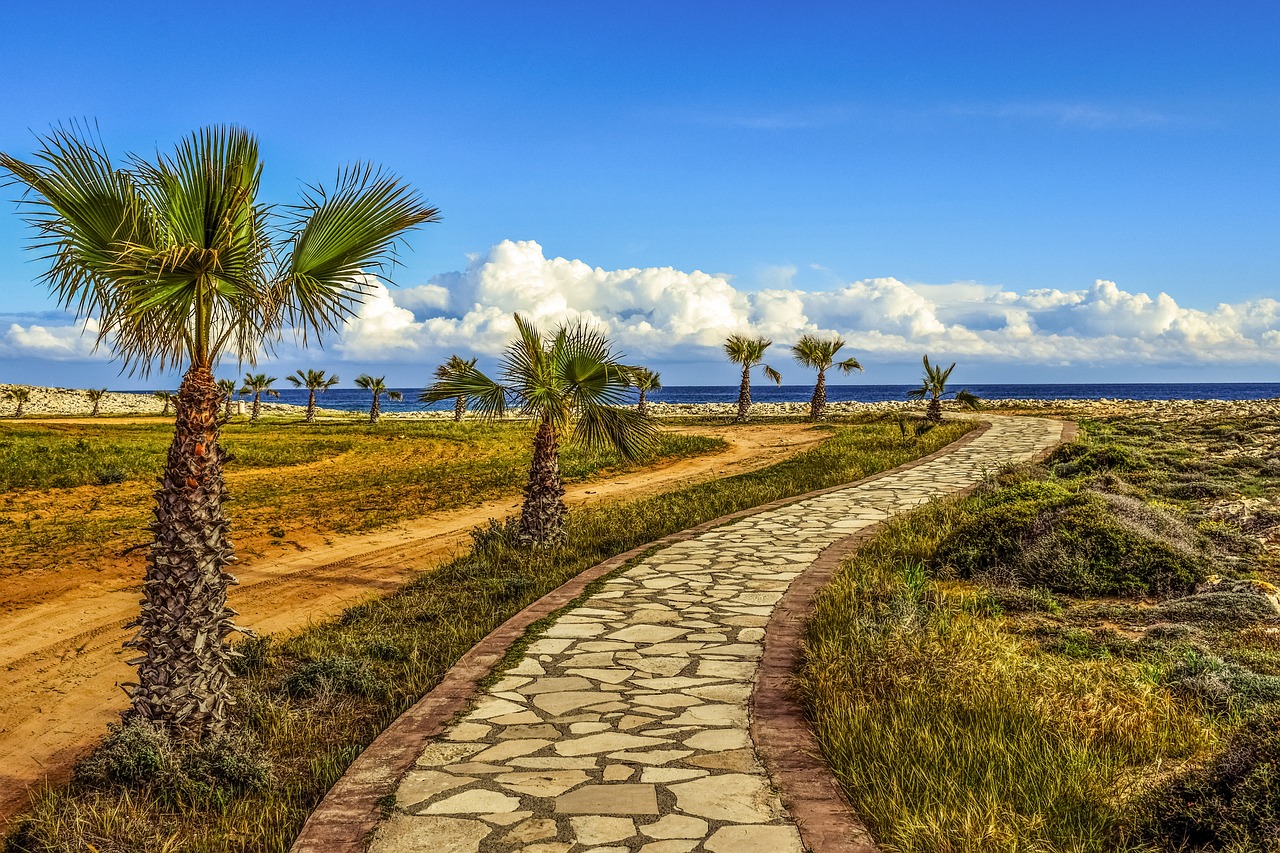 Image - coastal path palm trees sea sky