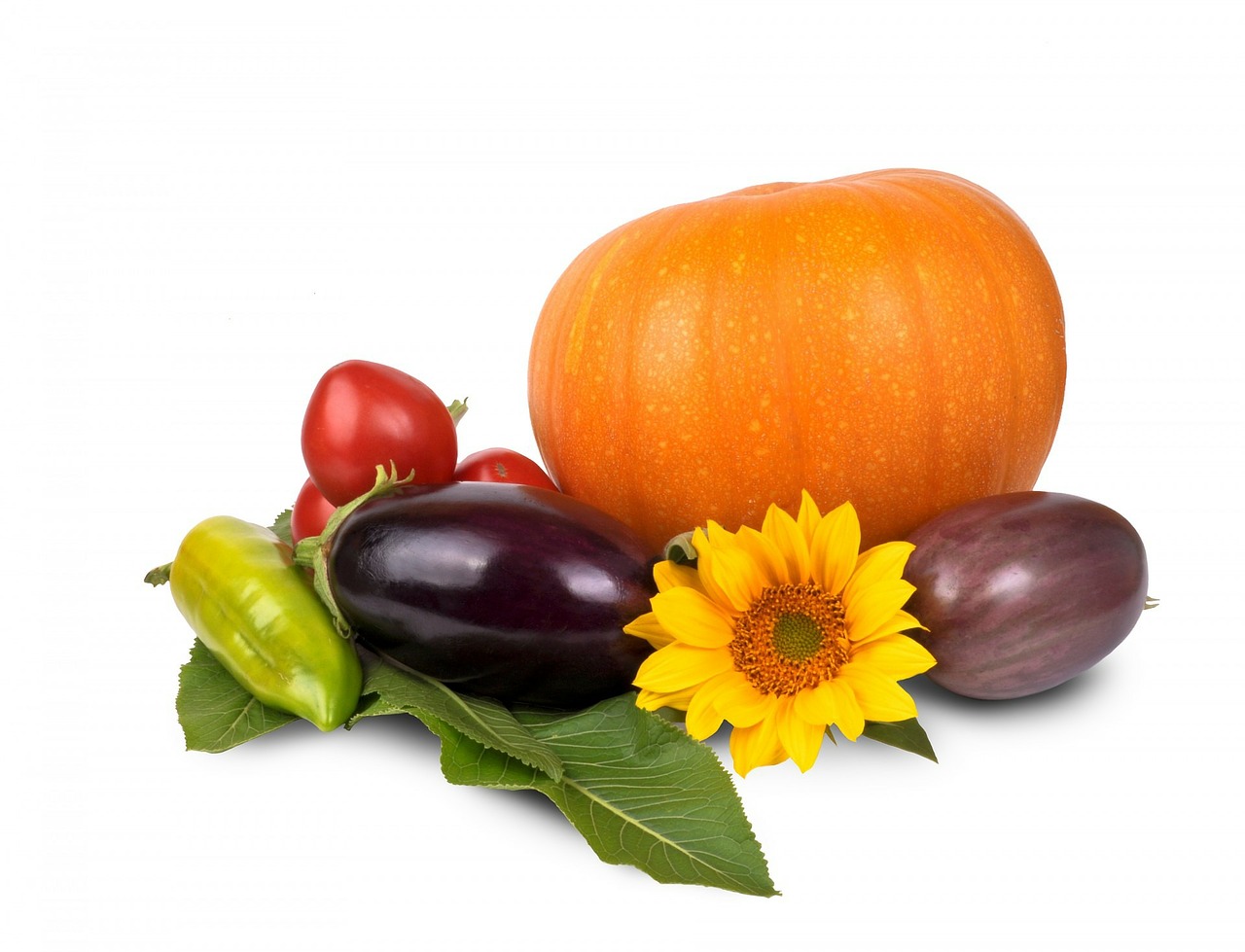 Image - isolated set vegetables basket