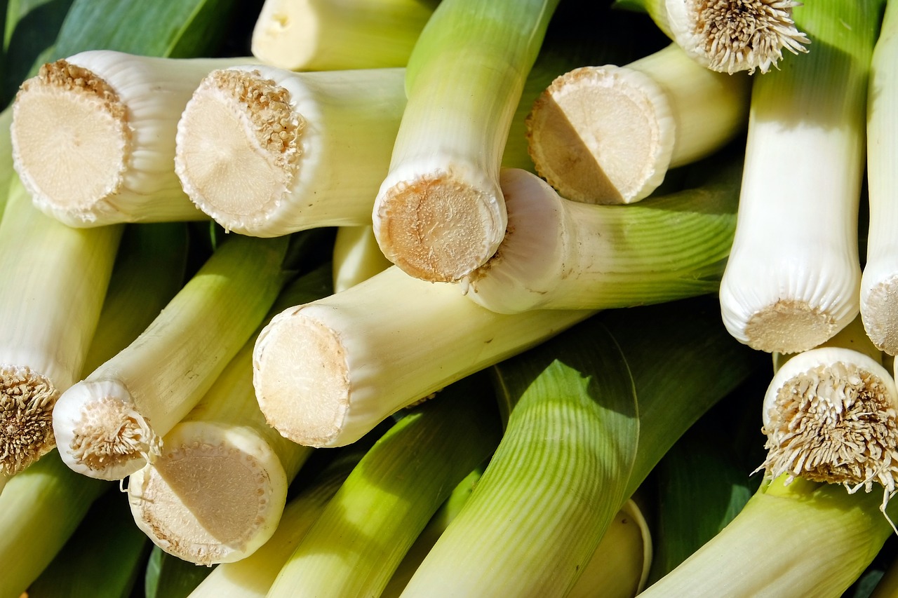 Image - leek vegetables stalk