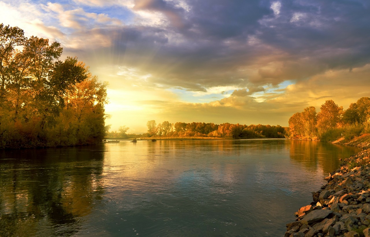 Image - autumn landscape nature golden